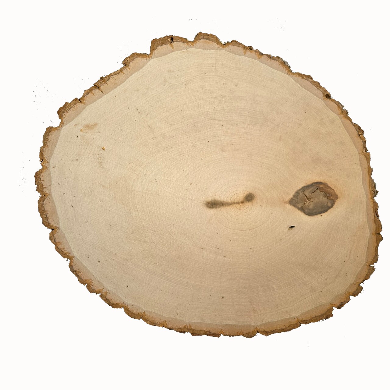 Rustic Basswood Round, Large, 5-Pack with Blue Stain for Painting & Center Pieces (Floral & Weddings)
